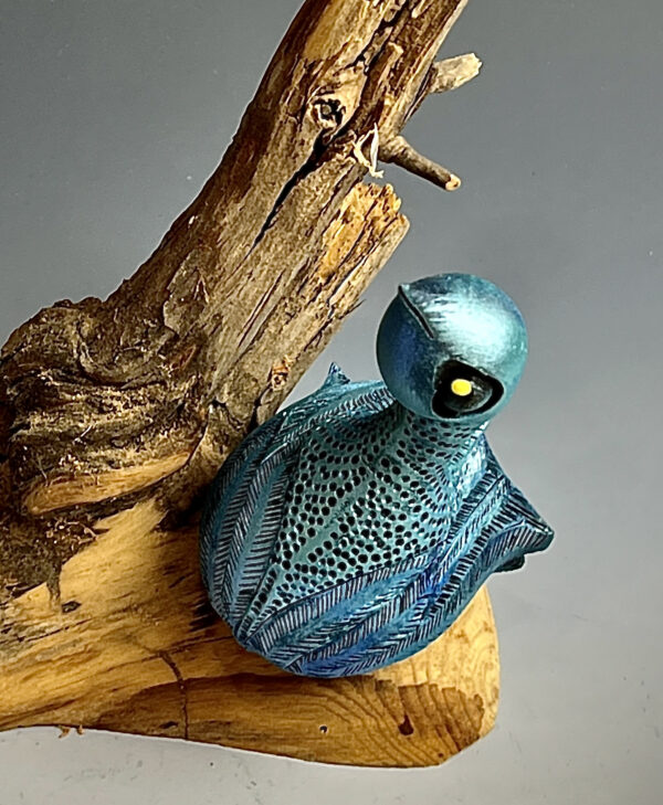 Roosting Bluebird.   sold