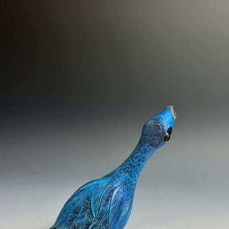 Short-beaked Pinbird