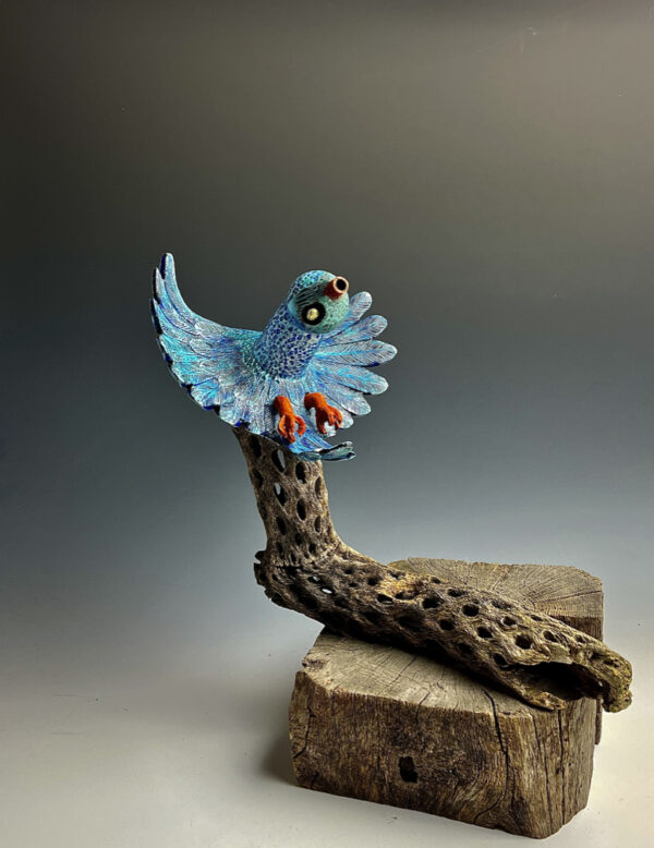 Arizona Golden Eye Bluebird - Image 4