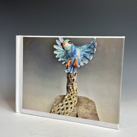 Arizona Bluebird Process Book
