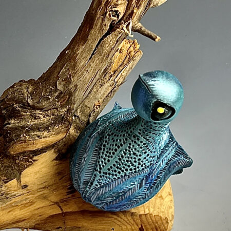 Roosting Bluebird.   sold