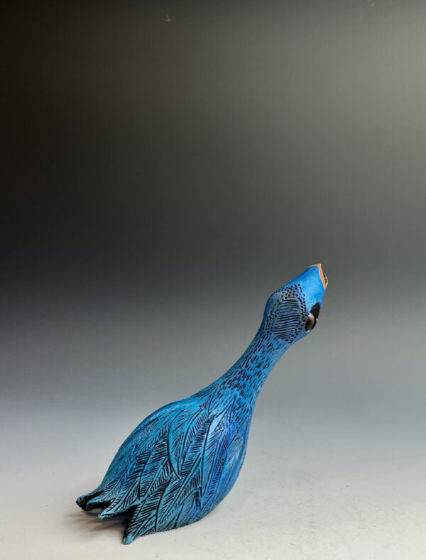 Short-beaked Pinbird.  Sold