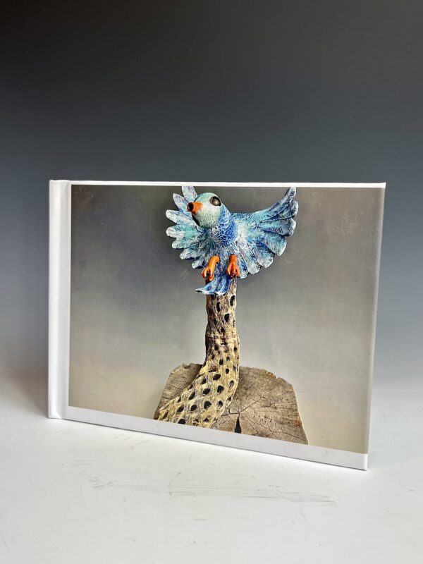 Arizona Bluebird Process Book