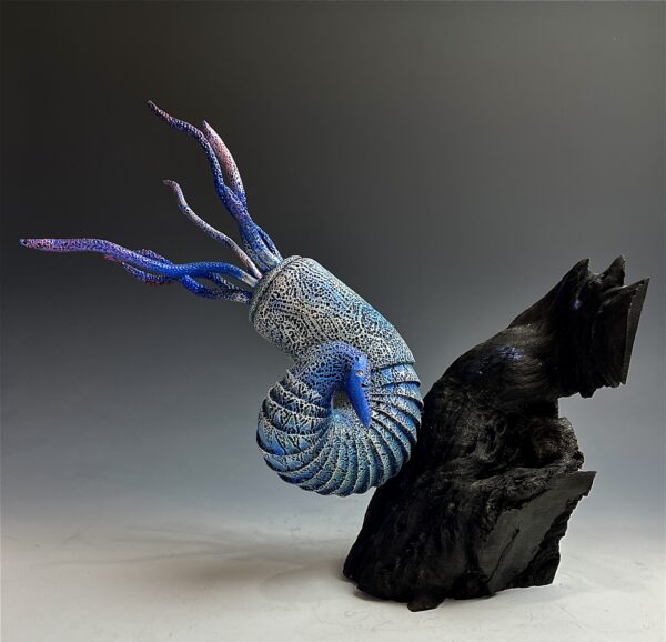 Aether Nautilus