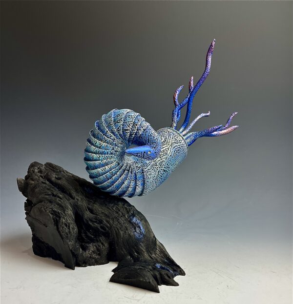 Aether Nautilus - Image 3
