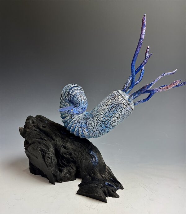 Aether Nautilus - Image 2